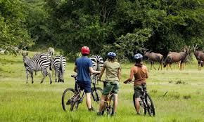lake-mburo-cycling-and-attractive-wildlife-in-Uganda-east-africa