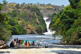murchison-falls-boat-cruise-natural-breathtaking-trips-in-uganda